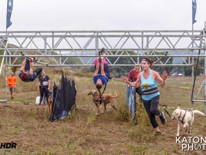 Kemény kutyások és kutyák Piliscséven